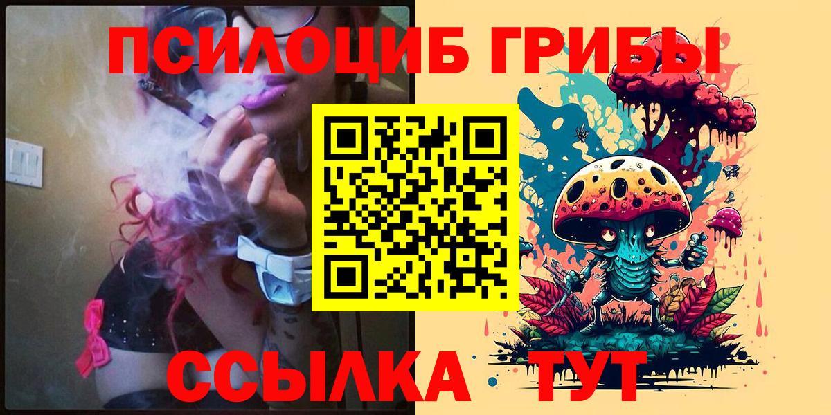 Псилоцибиновые грибы Cubensis Малгобек