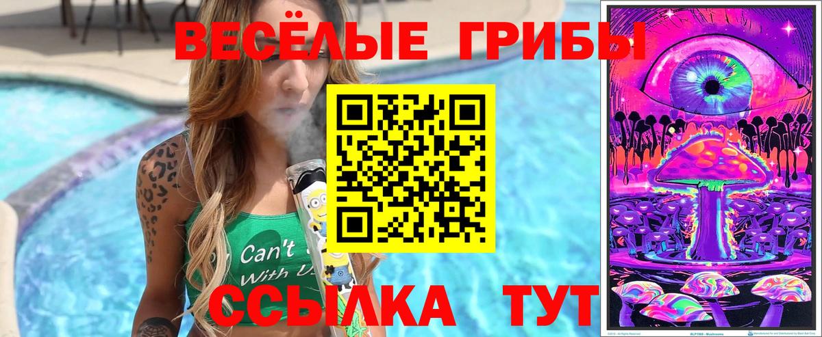 Галлюциногенные грибы Cubensis  купить наркотики сайты  Малгобек  Вход с VPN 